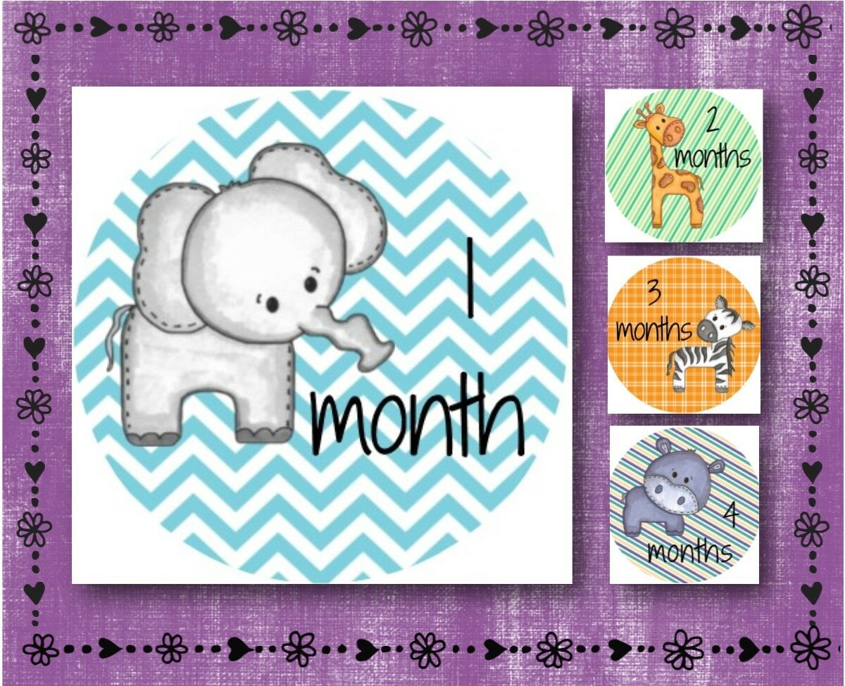 Baby Animal - Baby Milestone Stickers - Months 1-12 - 2.5" Round Glossy Labels